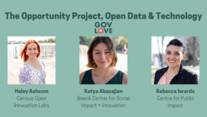 opportunity project - GovLove