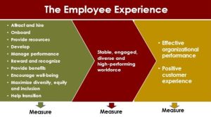 The employee experience