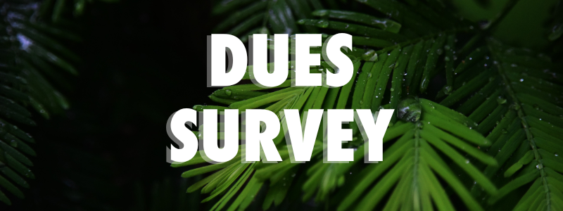 dues survey