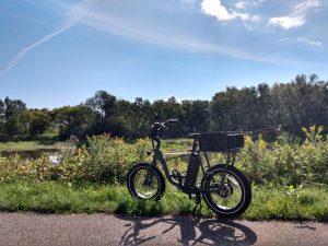 E-bike with basket in front of prairie flowers