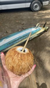 A coconut and surfboards