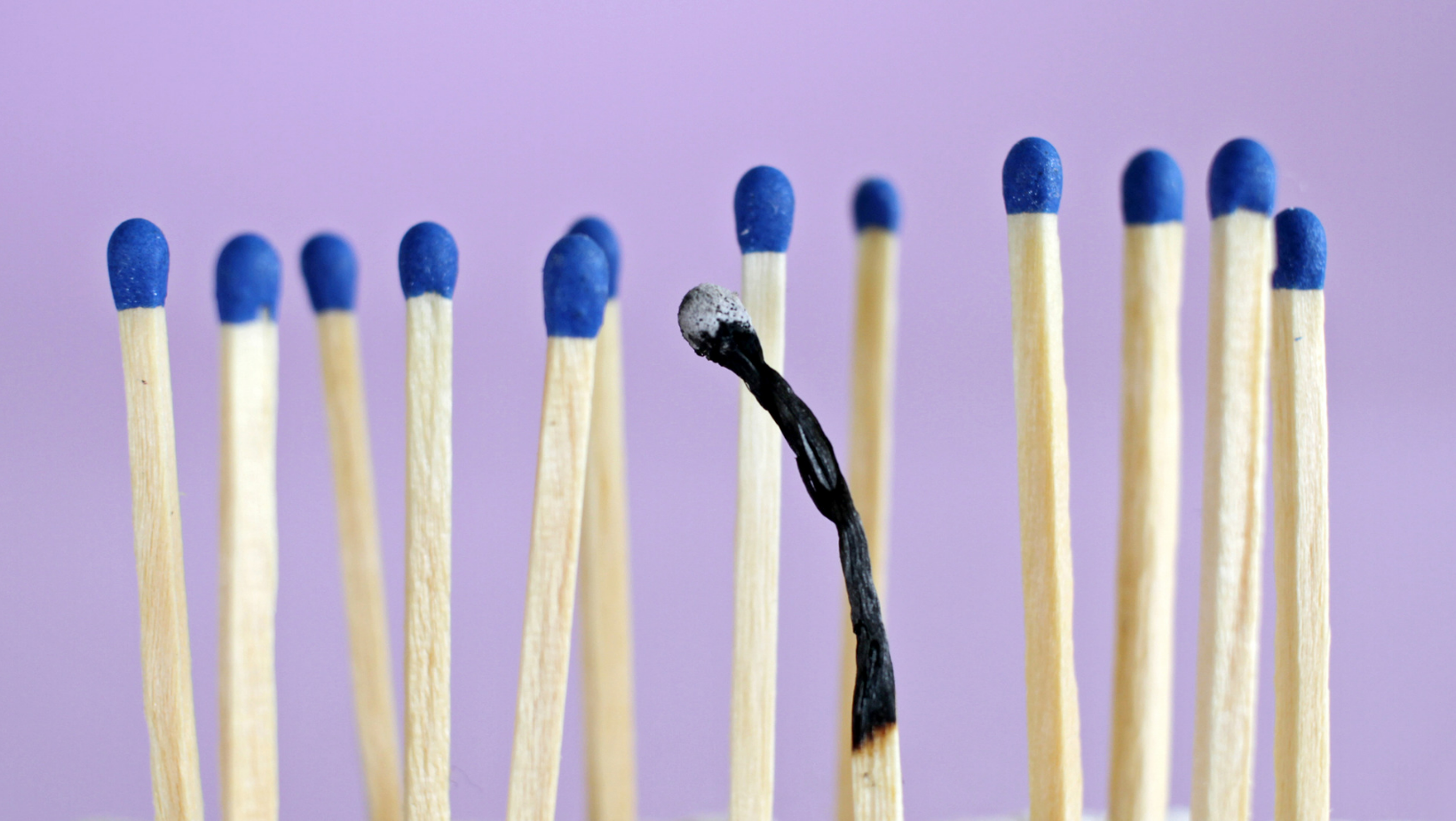 Thirteen wood matches against a purple background with one of them being lit and burnt-out.