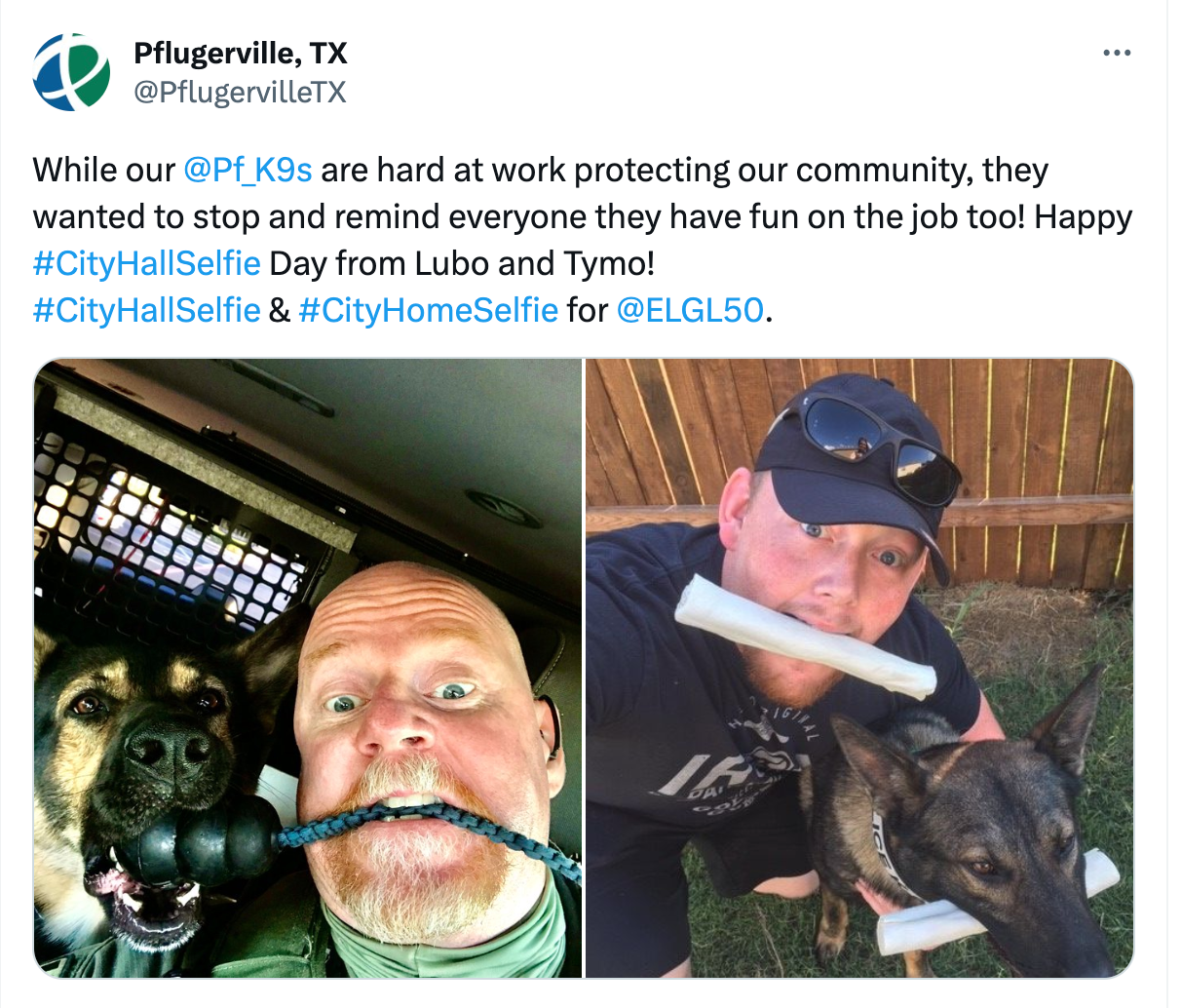 A tweet showing people taking selfies with dogs in Pflugerville, TX.
