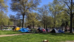 A group of camping tents beneath trees in a city park.