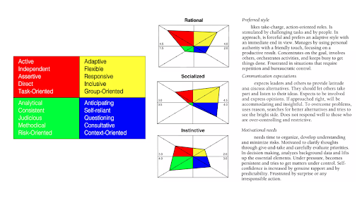 Summary charts and text from a person's Personalysis assessment.