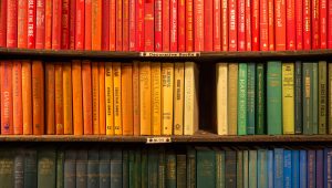 Three shelves filled with books in rainbow color order. Photo by Jason Leung on Unsplash.