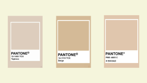 A series of 3 Pantone color swatches in shades of beige.