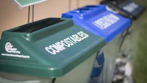 compost and recycling bins