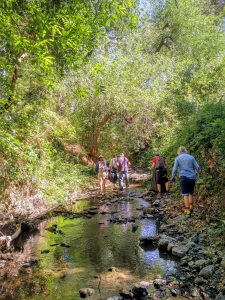 Creek Clean Up