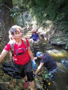 Creek Clean Up 3