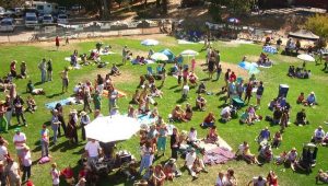 picnic from above