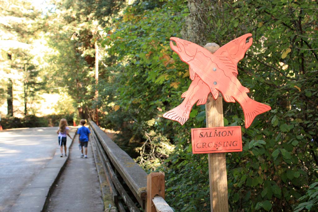 Steelhead Crossing Sign