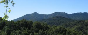 Mt.Tam