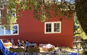 Pavilion Hay Bales