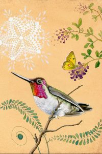 Amy Rose Moore - Hummingbird