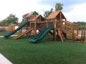 Bears Play Structure 2