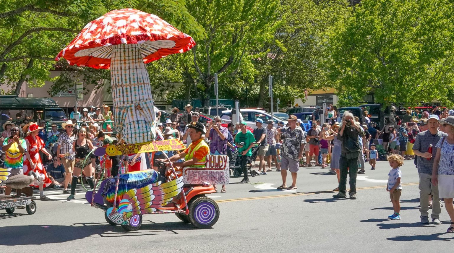 Fairfax Festival Parade image of participants