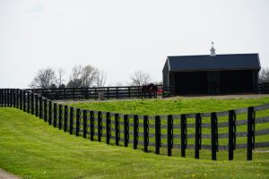 Horse Farm