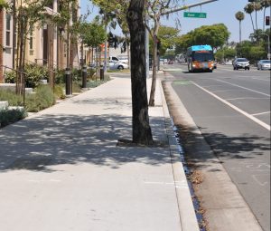 A photo of a complete street with wide sidewalks, a bike lane, and an approaching bus. The sidewalk is lined with trees.