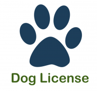 Dog License