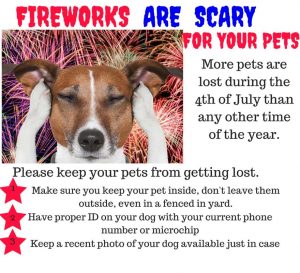 Pets & Fireworks