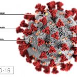 Novel Coronavirus COVID-19