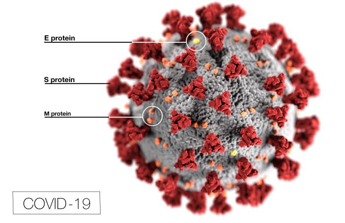 Novel Coronavirus COVID-19