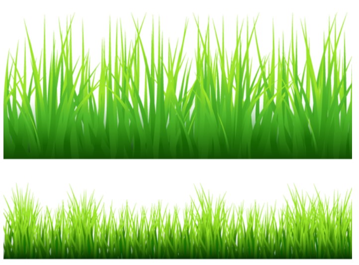 Grass growth