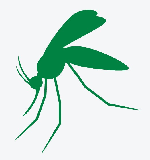 Mosquito-borne Eastern Equine Encephalitis virus: What to know