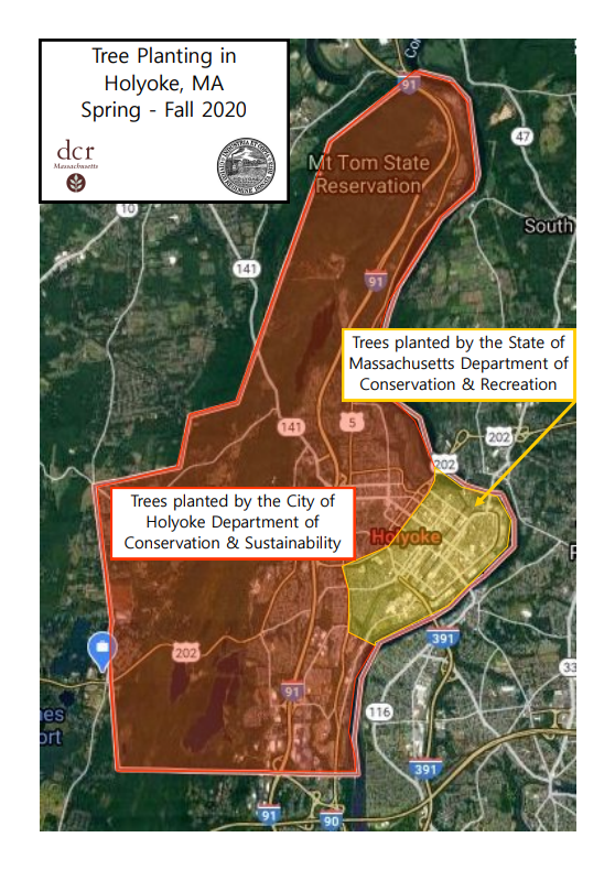 Conservation Request a Tree! City of Holyoke