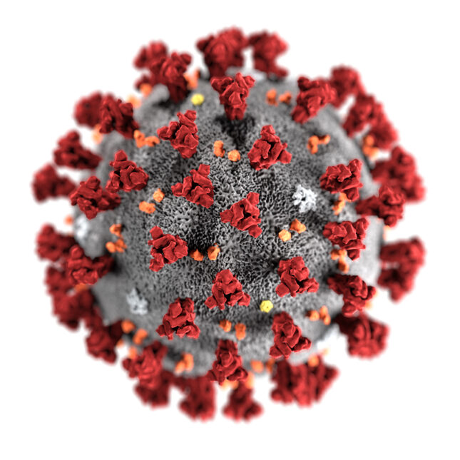 Covid-19 virus