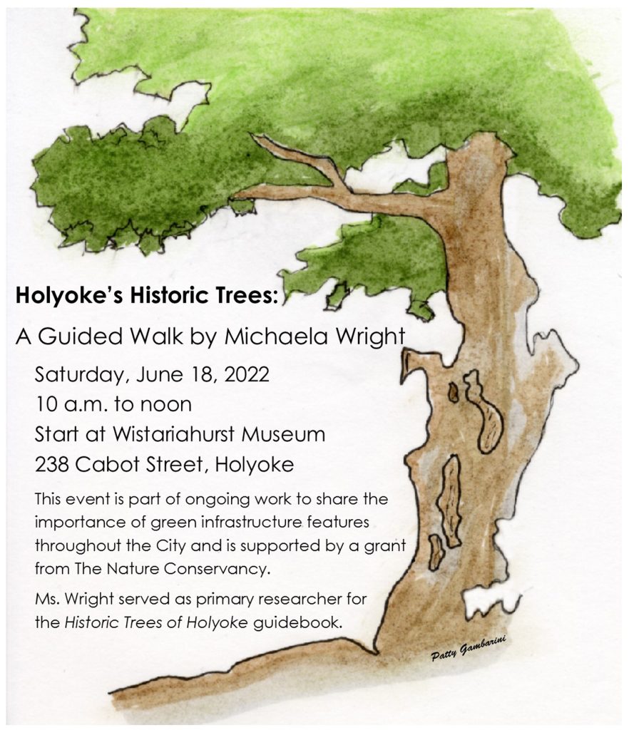 Historic trees of holyoke Tour Announcement