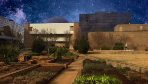 Planetarium Night Sky