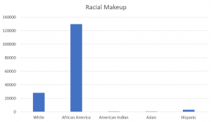 Racial Makeup