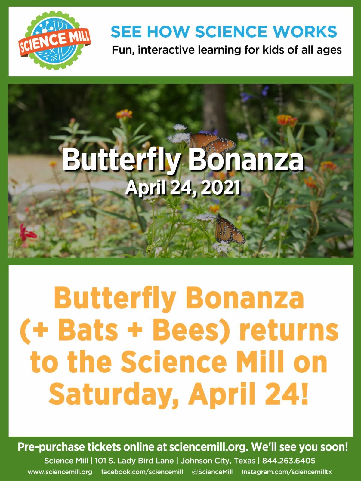 Butterfly Bonanza