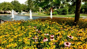 lincoln park fountains