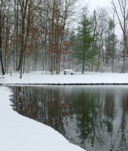 pondview winter pond