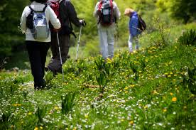 hikers