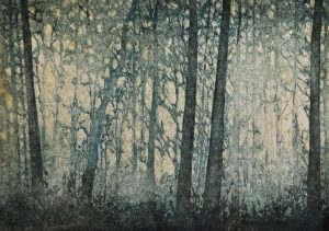 starkey forest print
