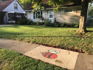 sidewalk bee