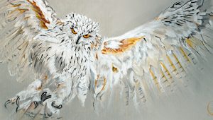 owl painting