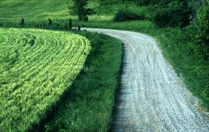 road through field