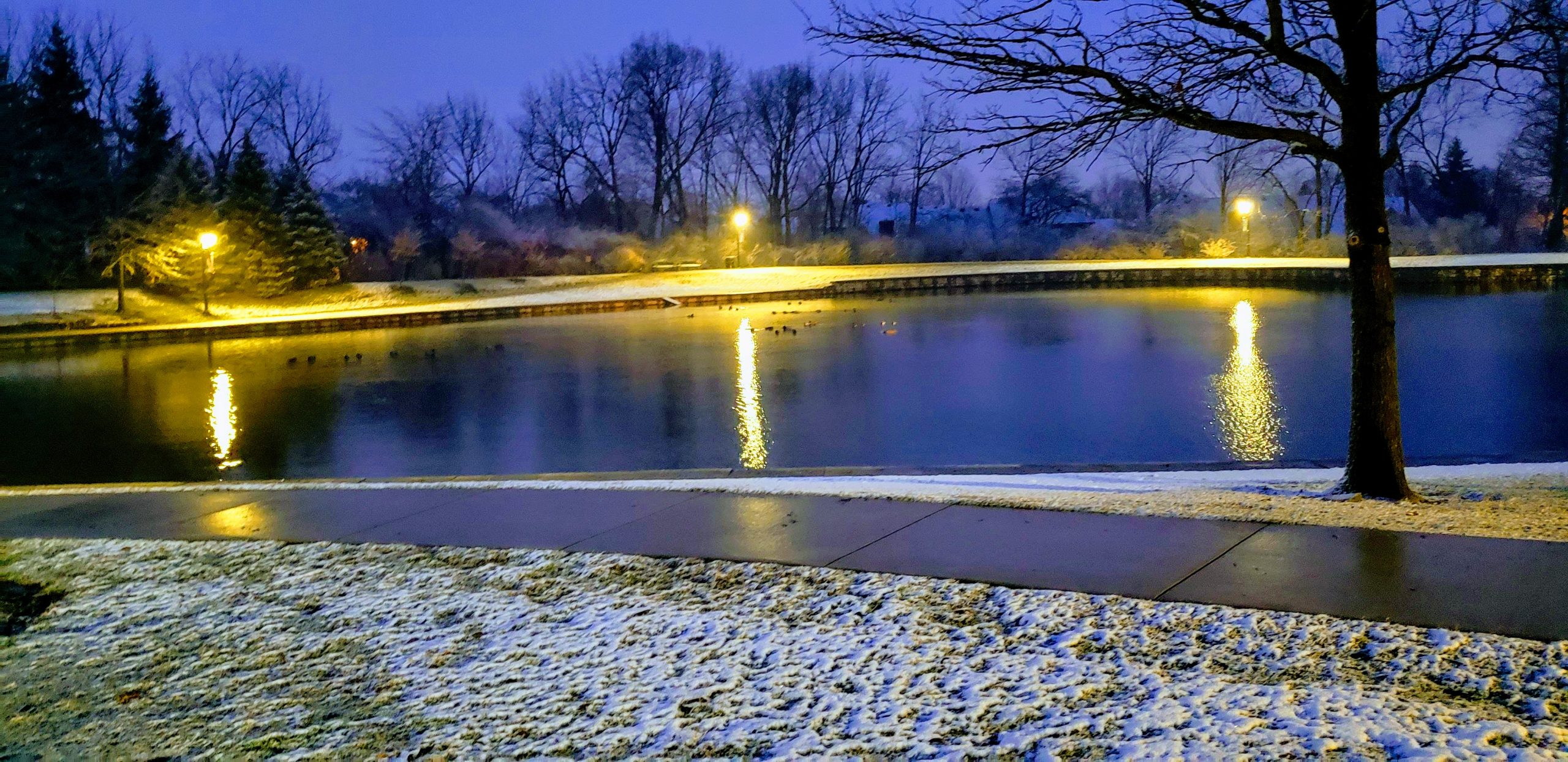 pond at night