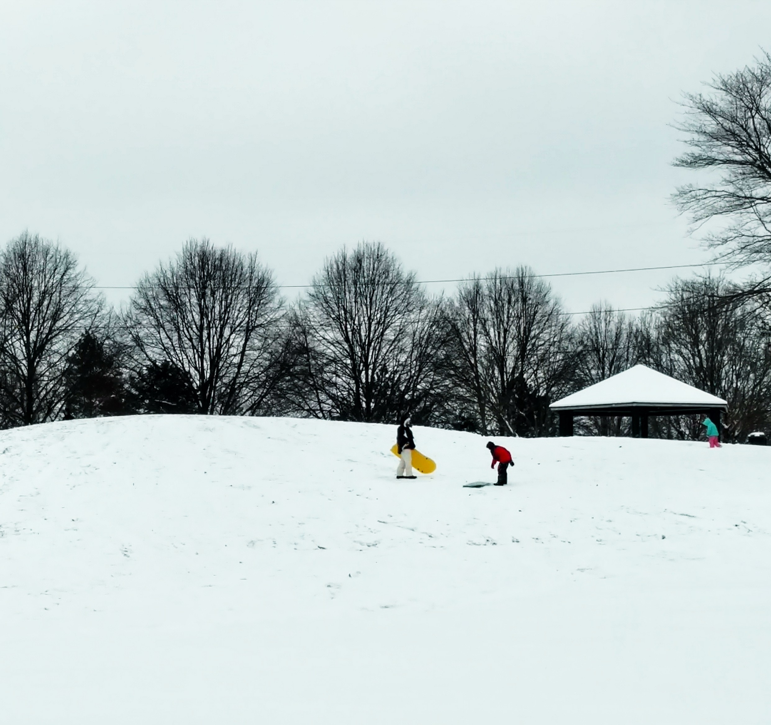 kids sledding