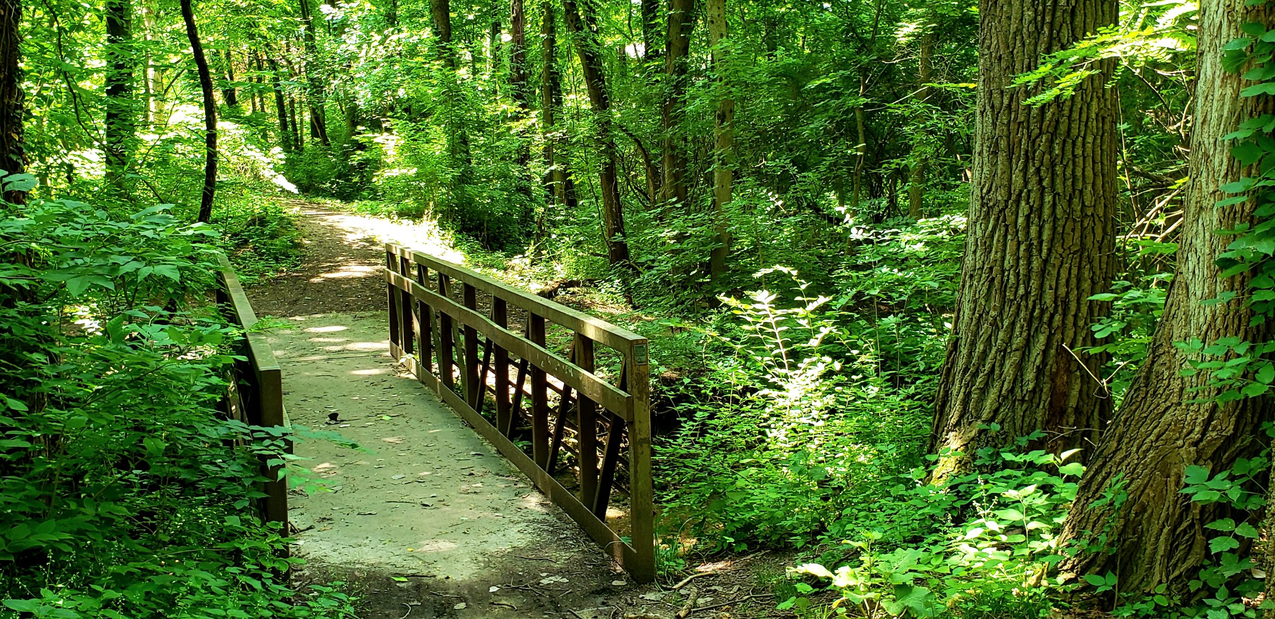 walking bridge