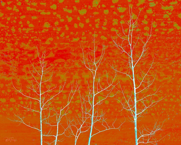 print of trees