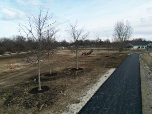 Gentile Nature Park progress January 2024.