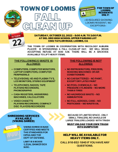 fall 2022 clean up day