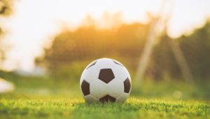 Soccer Ball siting on grass field