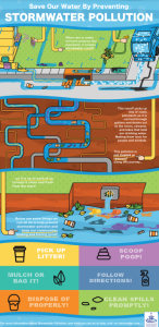 Infographic of stormwater pollution